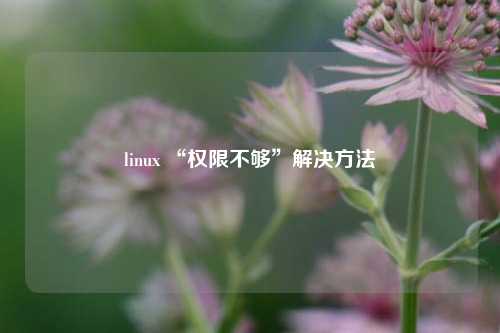 linux “权限不够”解决方法