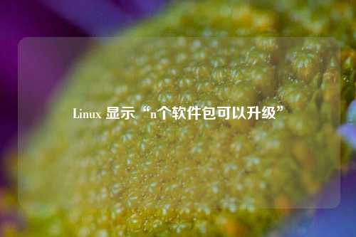 Linux 显示“n个软件包可以升级”