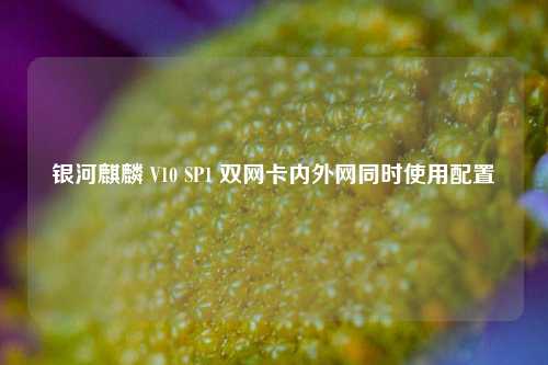 银河麒麟 V10 SP1 双网卡内外网同时使用配置